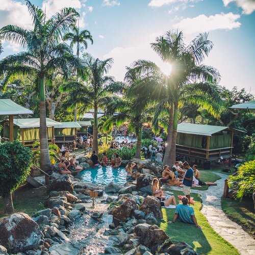 Jungle Party