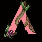 AMAZONA